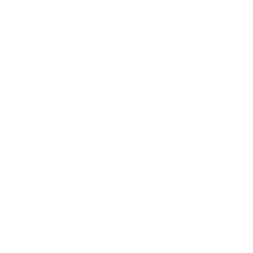 automotive icon