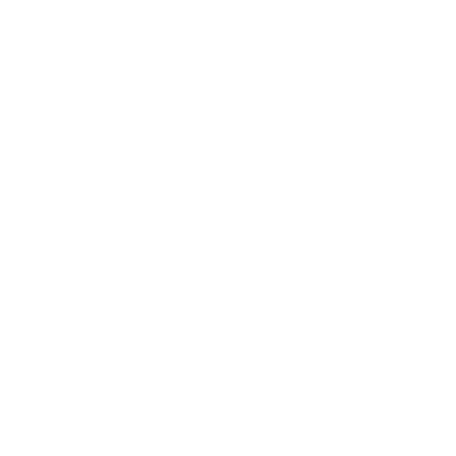 custom specifics icon