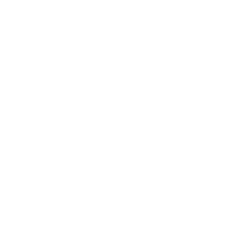 defense icon