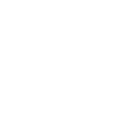 knife handles icon