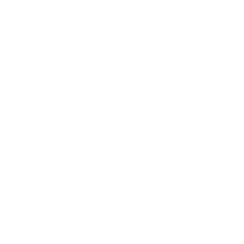 marine icon